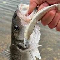 Westin Sandy Andy Weedless Jigs